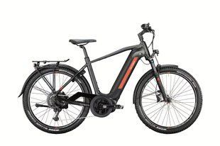 VICTORIA Victoria Avyon 10 Grijs 48 cm / 27,5" &ndash; kopen bij